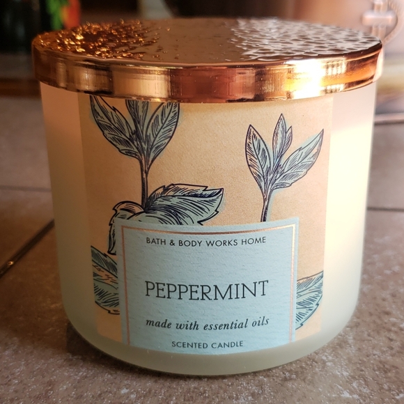 Bath & Body Works Other - Bath & Body Works peppermint scented candle